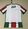 2022 Palestine Away Football Shirt 1:1 Thai Quality