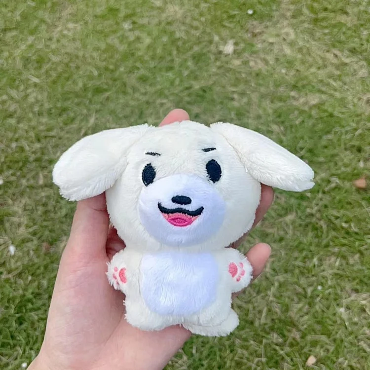 ENHYPEN Cute 10cm Keychain Doll