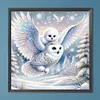 Chouette &agrave; t&ecirc;te blanche - perceuse ronde peinture diamant - 30*30cm