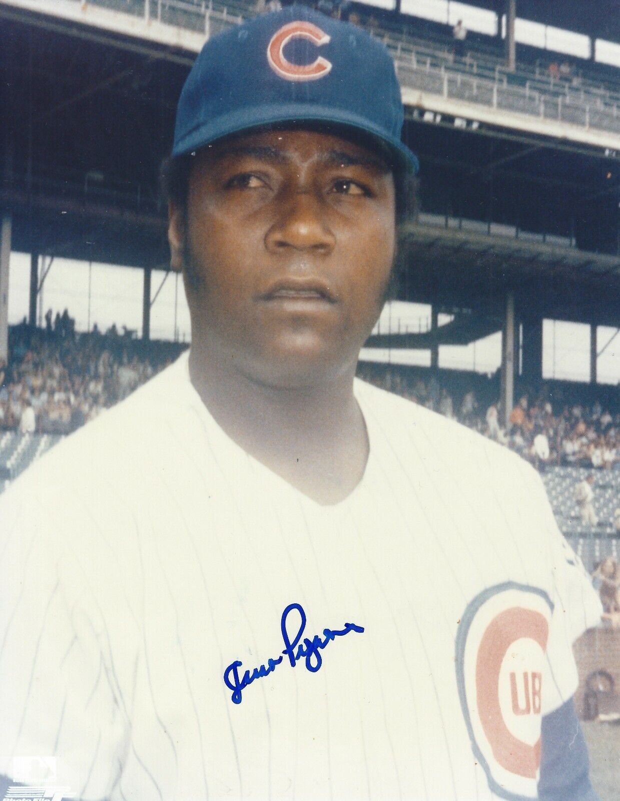 Signed 8x10 JUAN PIZARRO Chicago Cubs Autographed Photo Poster painting- COA