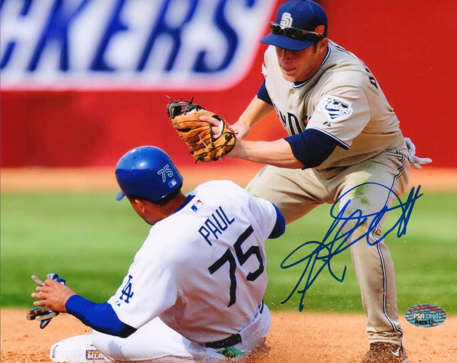 Matt Antonelli Signed 8x10 Photo Poster painting PSA/DNA COA Padres Baseball Picture Autograph 2