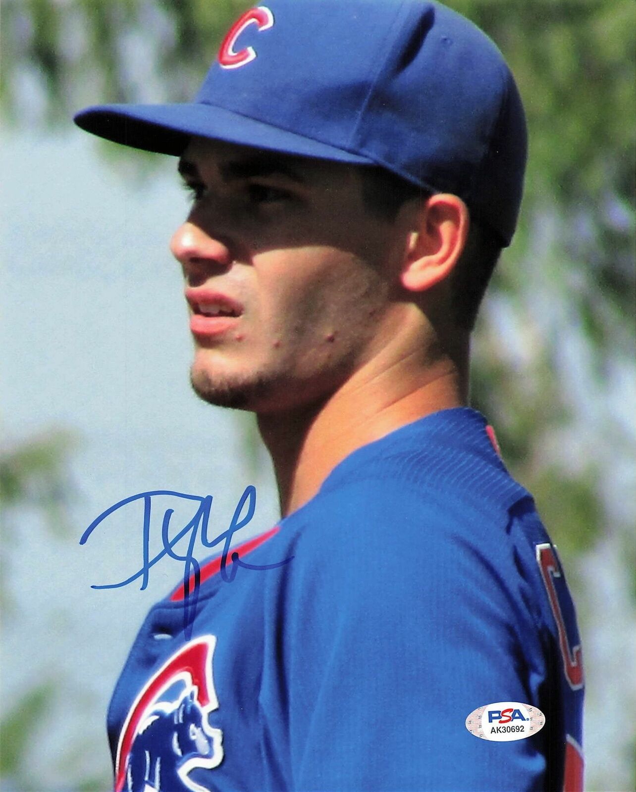 Dylan Cease signed 8x10 Photo Poster painting PSA/DNA Chicago Cubs Autographed