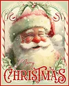 Luxury AB Velvet Diamond Painting Kit  | Christmas Santa Claus