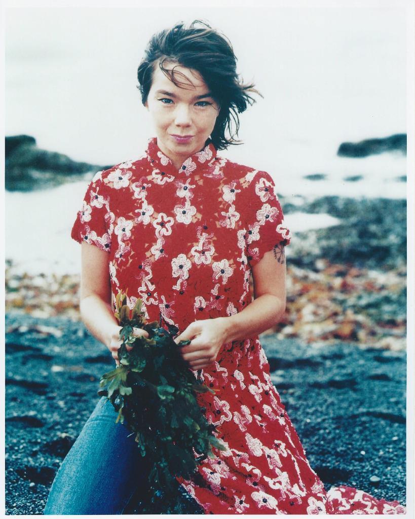 Bjork 8x10 Picture Simply Stunning Photo Poster painting Gorgeous Celebrity #204