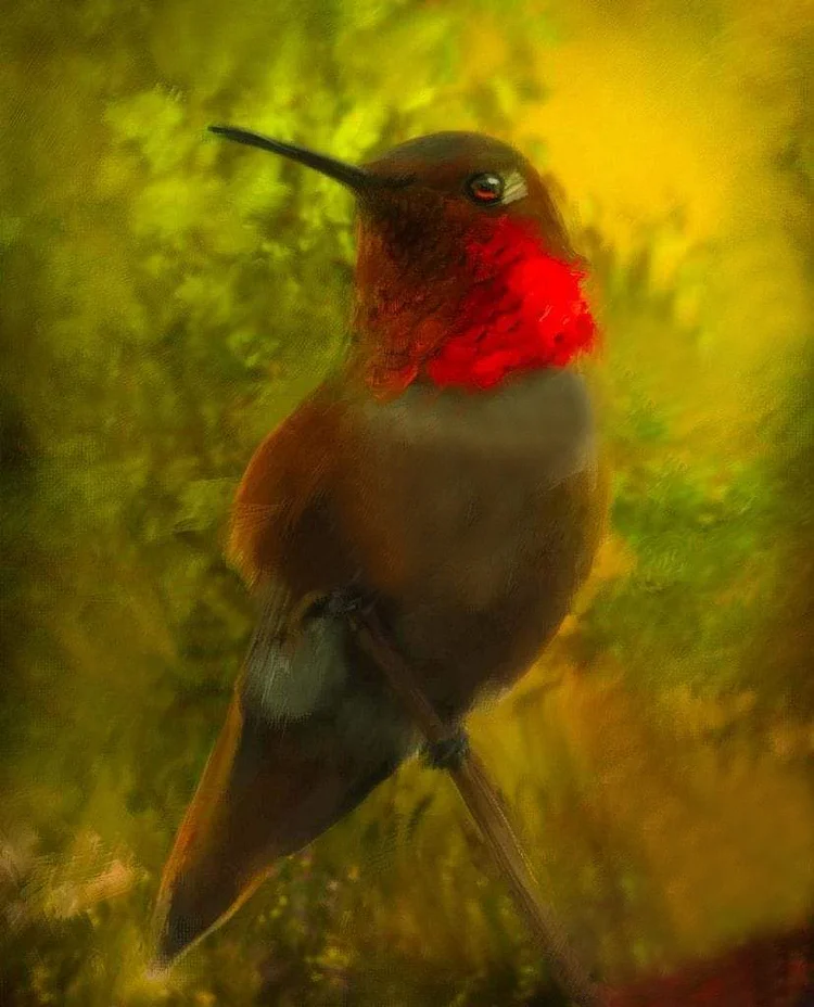 Hummingbird 40*50CM(Canvas) Full Round Drill Diamond Painting gbfke