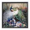 (Counted/Stamped) 11CT Peafowl- Cross Stitch 46*46cm/18.11*18.11in