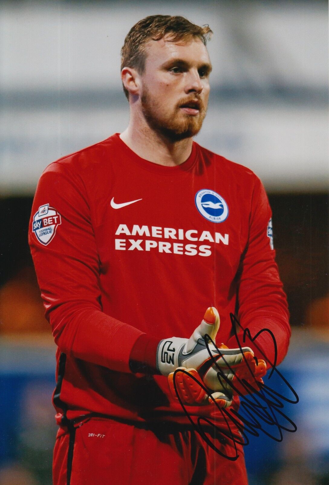 BRIGHTON & HOVE ALBION HAND SIGNED DAVID STOCKDALE 12X8 Photo Poster painting.