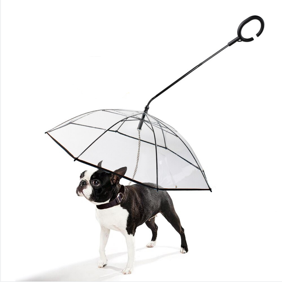 Dog Walking Umbrella Leash