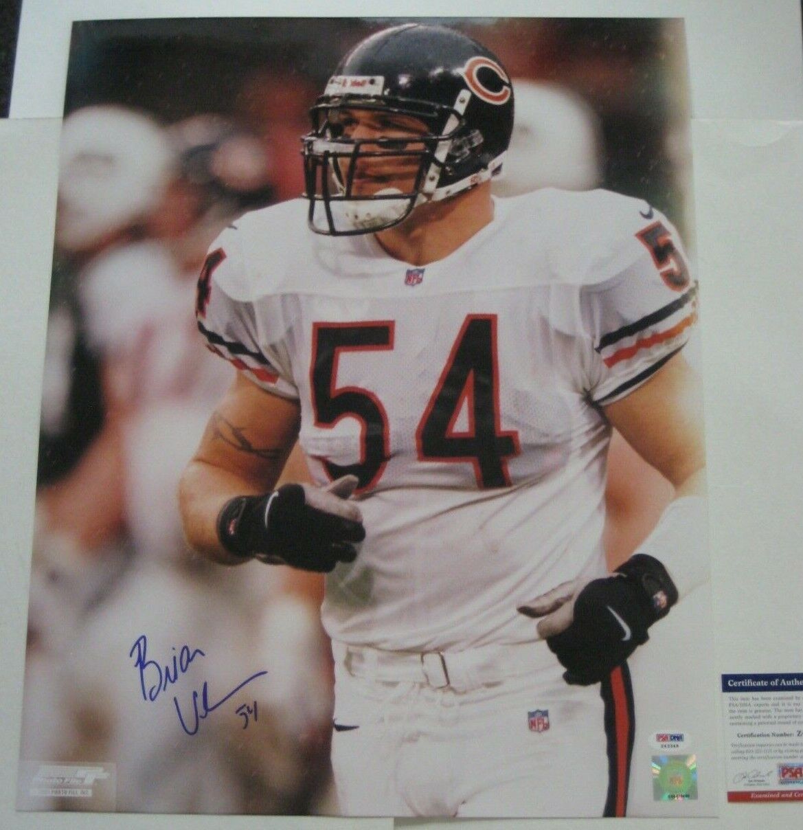 BRIAN URLACHER Signed Chicago BEARS 16x20 Photo Poster painting with PSA COA