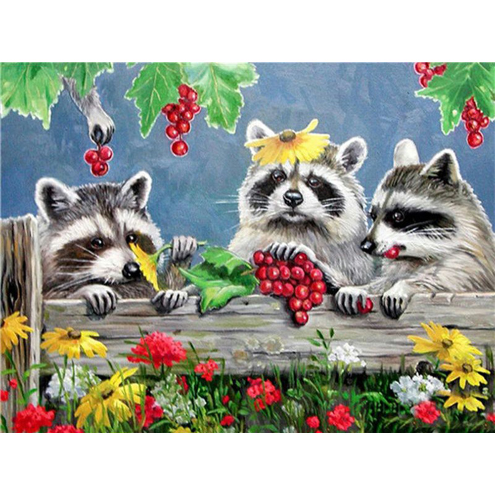 

Raccoon - Round Drill Diamond Painting - 40*30CM, Round diamond 40*30cm, 501 Original