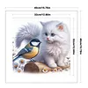 Pussycat And Robin-11CT Stamped Cross Stitch 40*40cm/15.75*15.75in tapestrymarket
