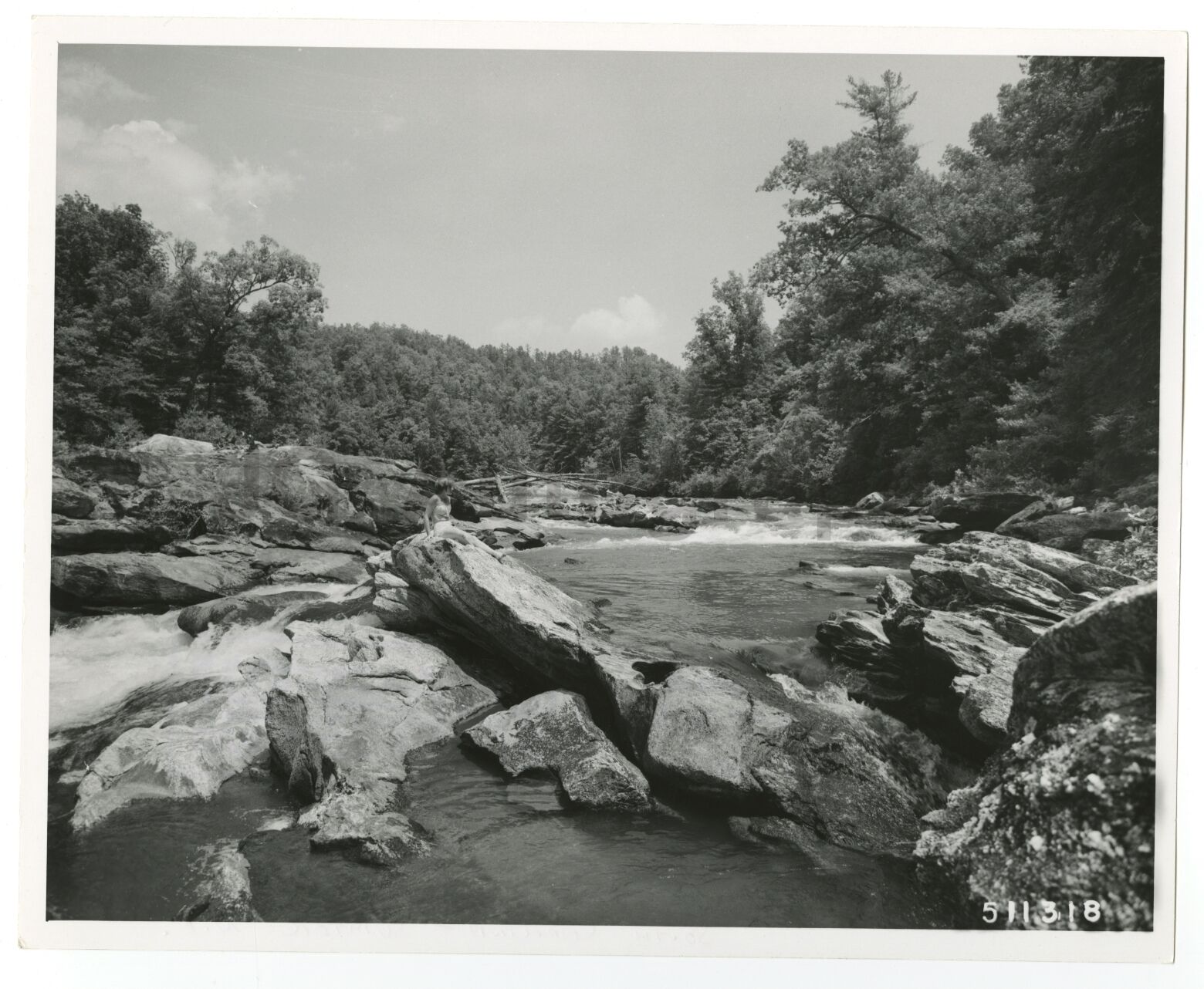 South Carolina - Chattooga River - Vintage 8x10 Photo Poster painting by Bluford W. Muir