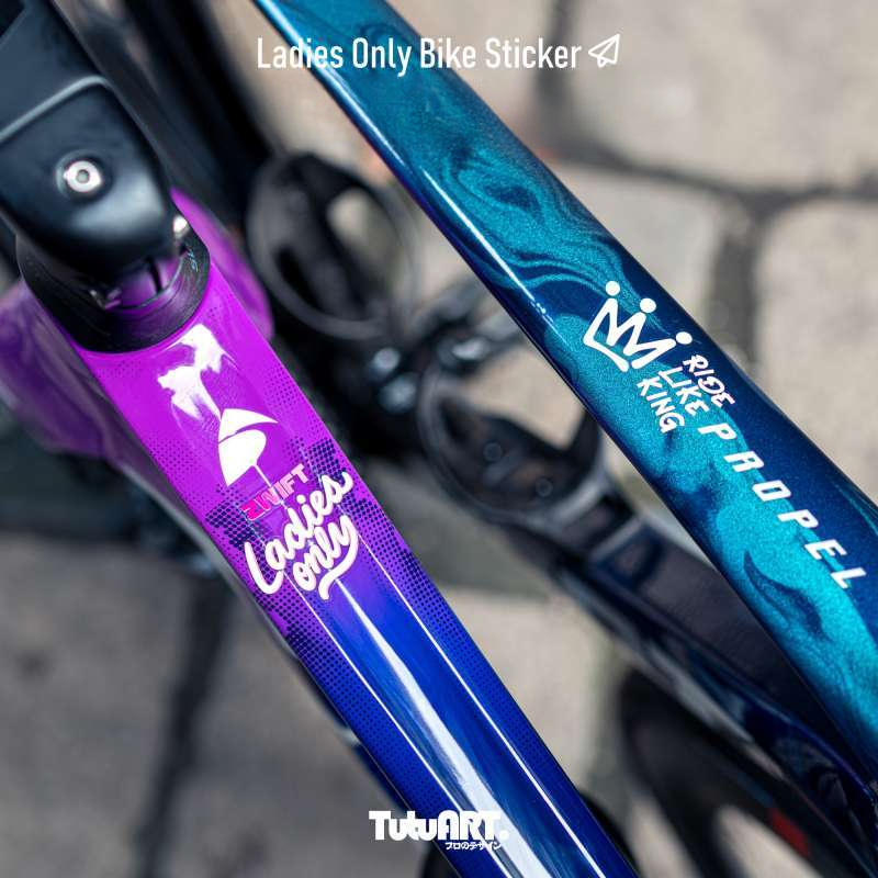 Vinyl Decal Set for Bike Frame