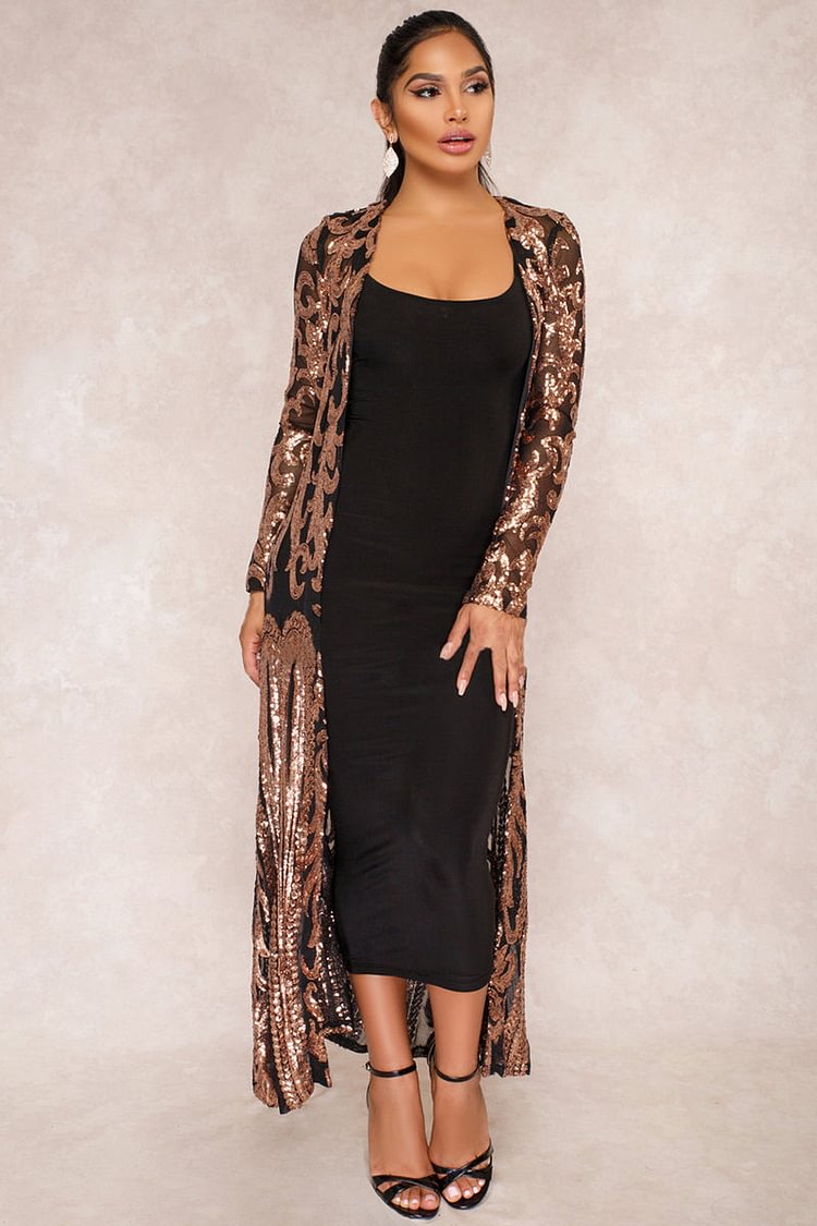 Sequin Embroidery Long Sleeve See Through Mesh Maxi Dresses