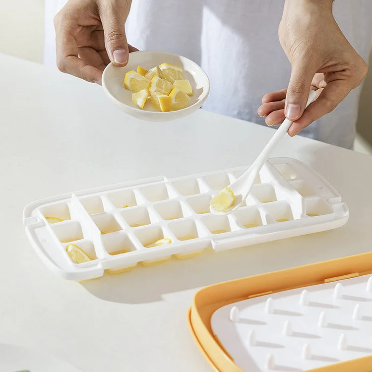 Ez-Cube Easy Ice Maker-1 Mold