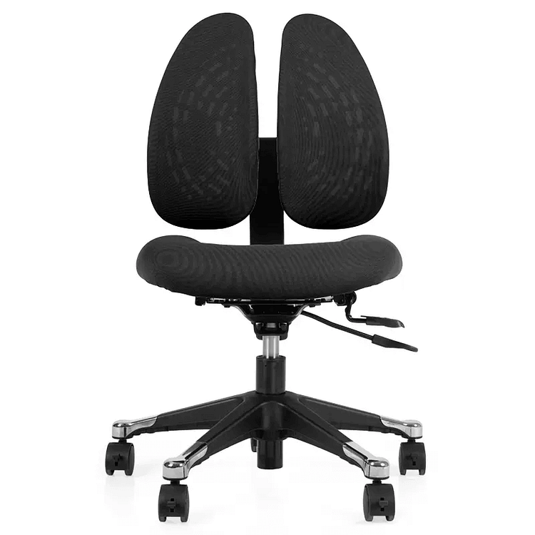 G-007b Twin Back Ergonomic Chair 