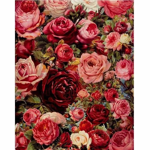 Flower Rose Paint By Numbers Kits UK For Adult PH9341