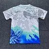 2025/2026 Brazil Special Edition White Blue Bird Football Shirt 1:1 Thai Quality love fball