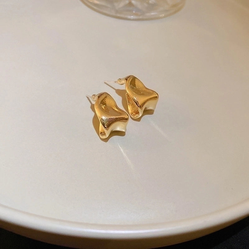 Silver Needle  Exaggerated Lovely Earrings Light Luxury High-grade Niche Earrings Fashion Metal Temperament Earrings For Women