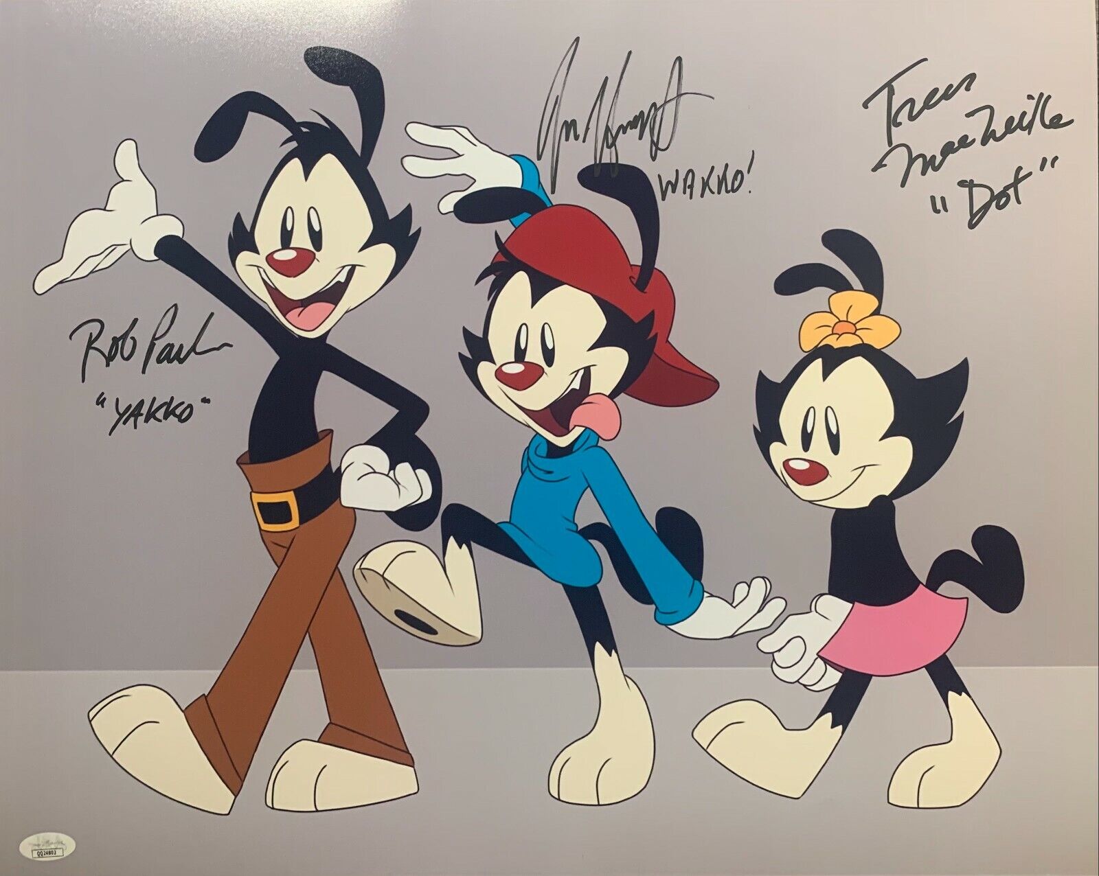 Animaniacs Cast Autograph Inscribed 16x20 Photo Poster painting Rob Jess Tress Signed JSA COA