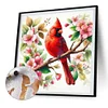 (US Local)Bird-Paint By Numbers Kit(30x30cm)