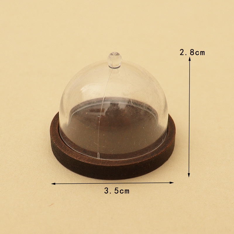 Mini Wooden Tray with Clear Dome