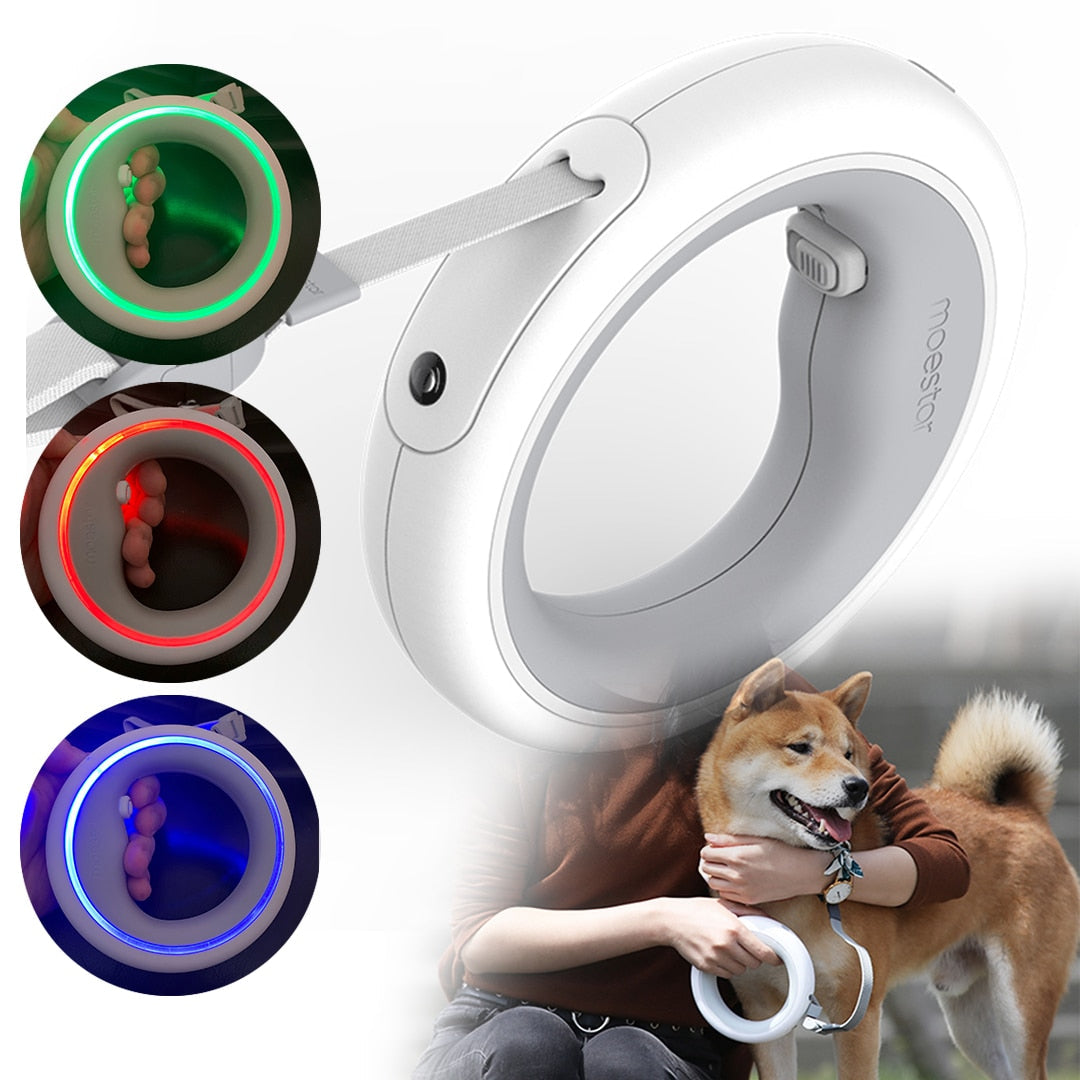 Smart LED Modern Design Safety Dog Leash