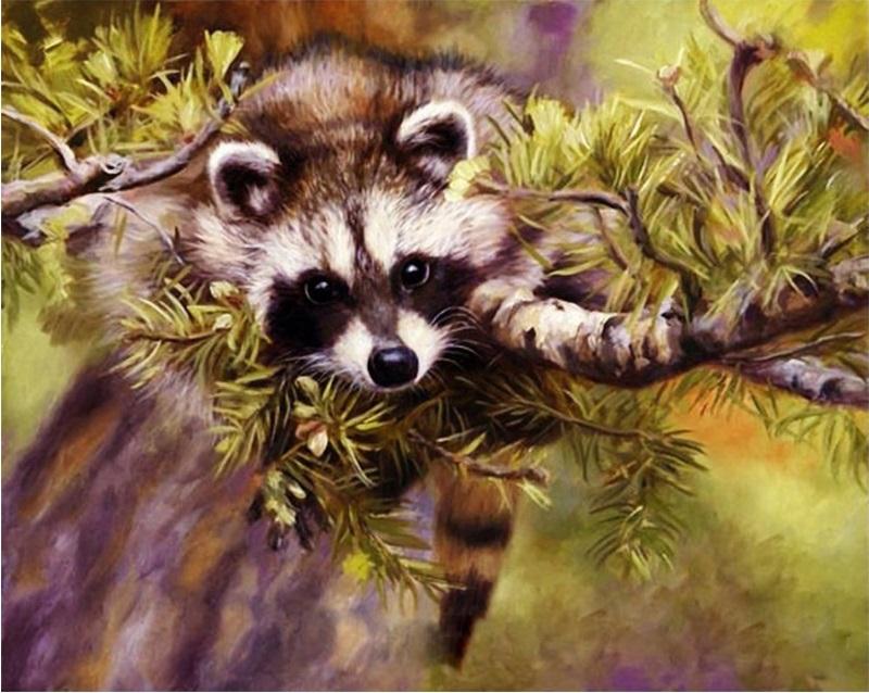 

Raccoon – Paint By Numbers - 40*50CM, 501 Original