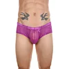 Low Waist Sexy Sheer Mesh Lace Briefs