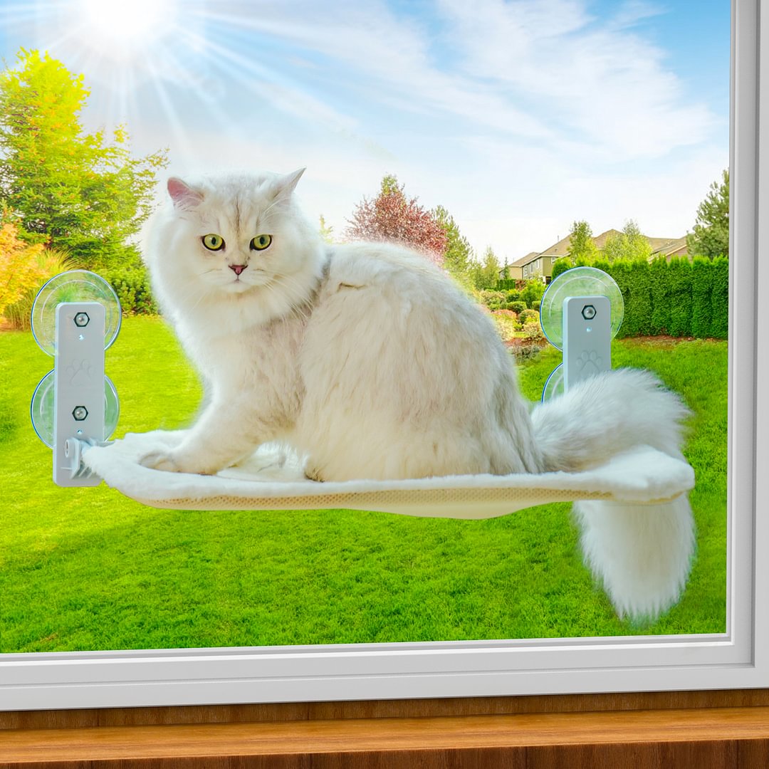 Mewoofun Cat Window Seats