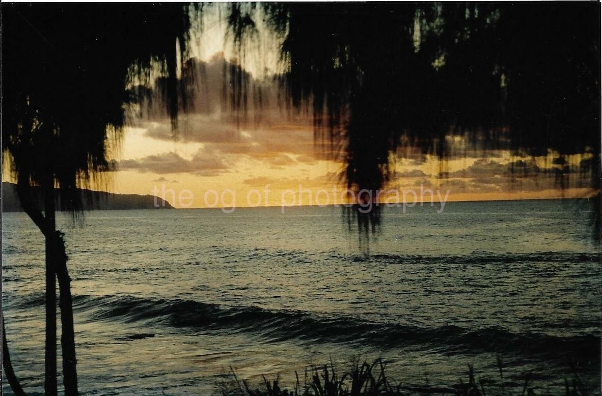 Hawaiian Paradise FOUND Photo Poster painting Color HAWAII Original Snapshot VINTAGE 14 27 L