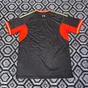 2025/2026 Liverpool Phoenix Special Edition Football Shirt 1:1 Thai Quality