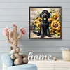 Teddy-rond noir drill diamond painting-40*40cm