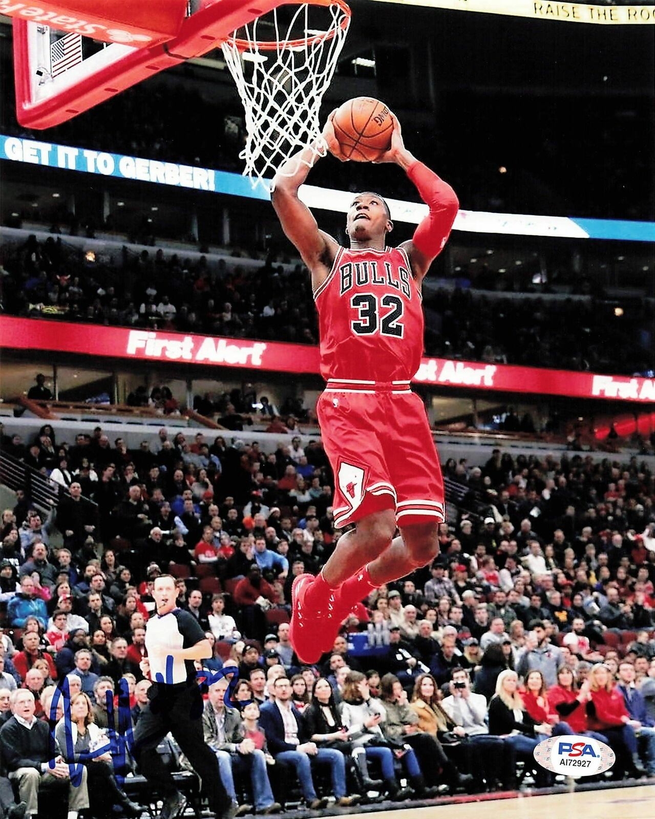 KRIS DUNN signed 8x10 Photo Poster painting PSA/DNA Chicago Bulls Autographed