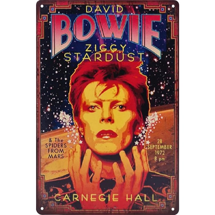 【20*30cm/30*40cm】David Bowie - Vintage Tin Signs/Wooden Signs