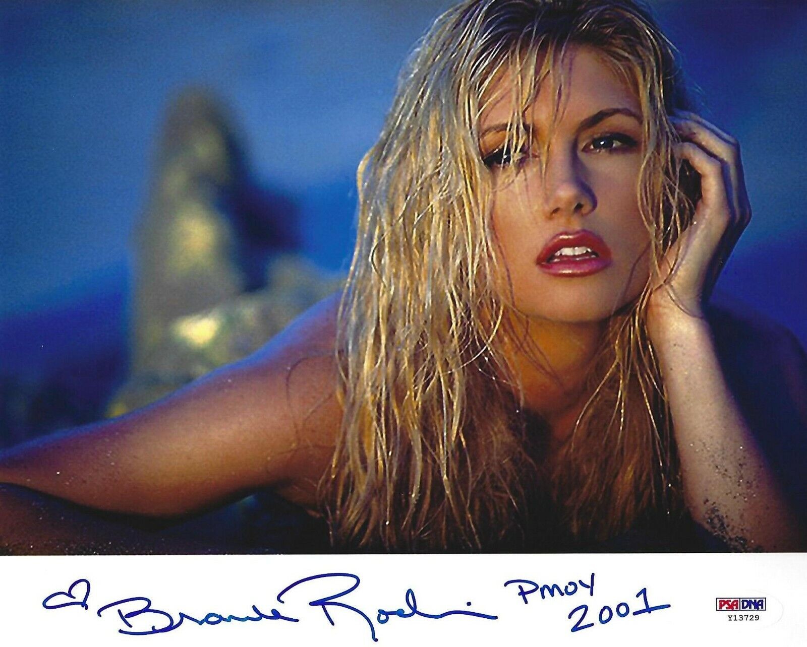 Brande Roderick Signed Playboy 8x10 Photo Poster painting PSA/DNA COA Playmate Picture Auto'd 5