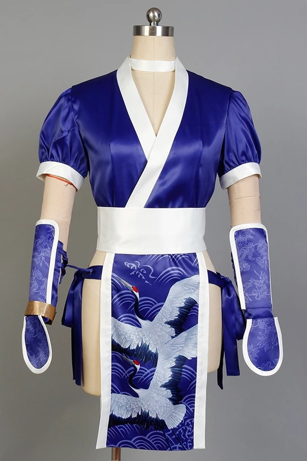 Doa Dead Or Alive Kasumi Cosplay Costume