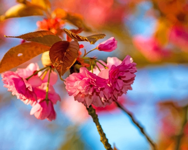 

Japanese Cherry Blossom – Paint By Numbers - 40*50CM, 501 Original