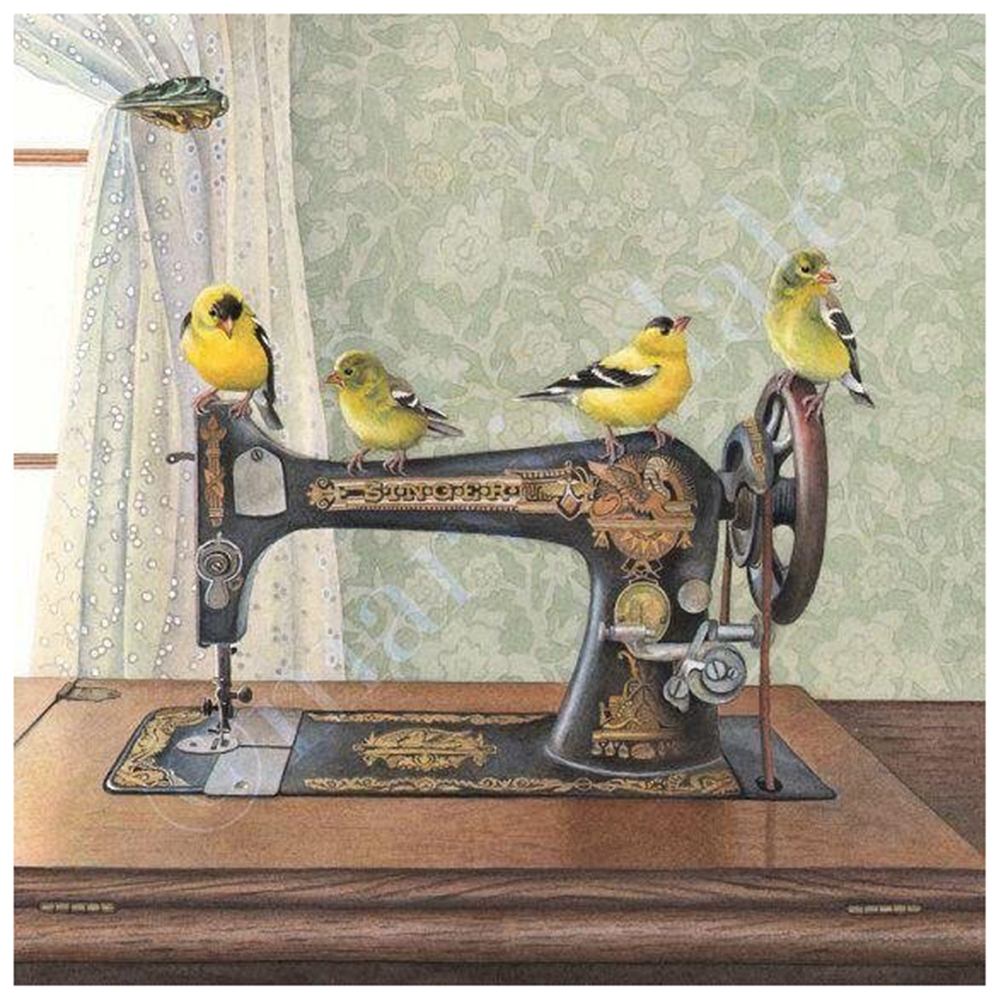 

40*40CM - Round Drill Diamond Painting - Four Little Birds, 501 Original