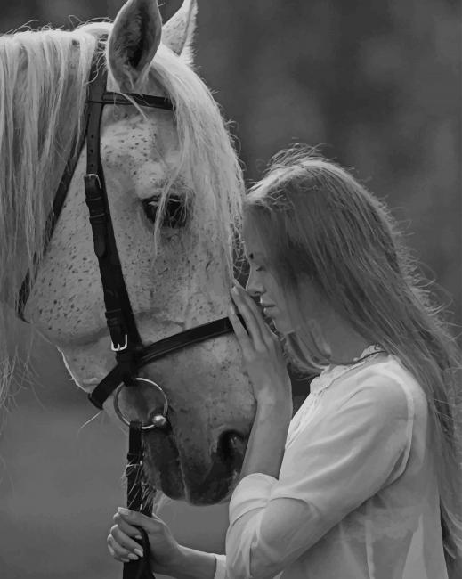

Black And White Lady And Horse – Paint By Numbers - 40*50CM, 501 Original