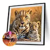 Savannah Lion-Full Round Diamond Painting 30*30CM