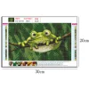 Frog | Full Diamond Painting KitsFull Round