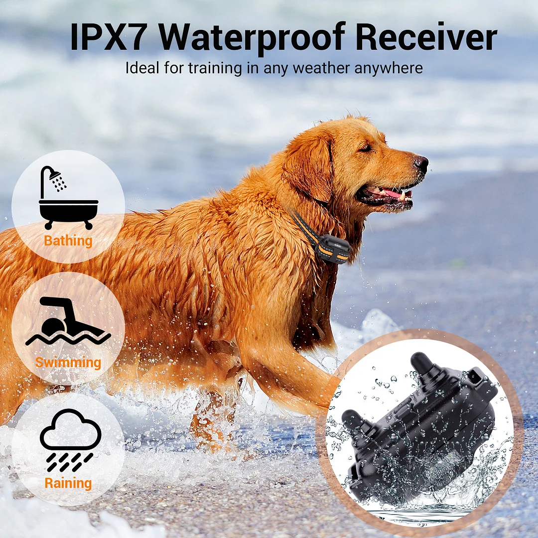 BEBANG Dog Training Collars for 2 Dogs, with Remote 880yards, 3 Modes Beep Vibration Shock, IPX7 Waterproof, LED Light, USB Charging,for Training Small Medium Large Dogs