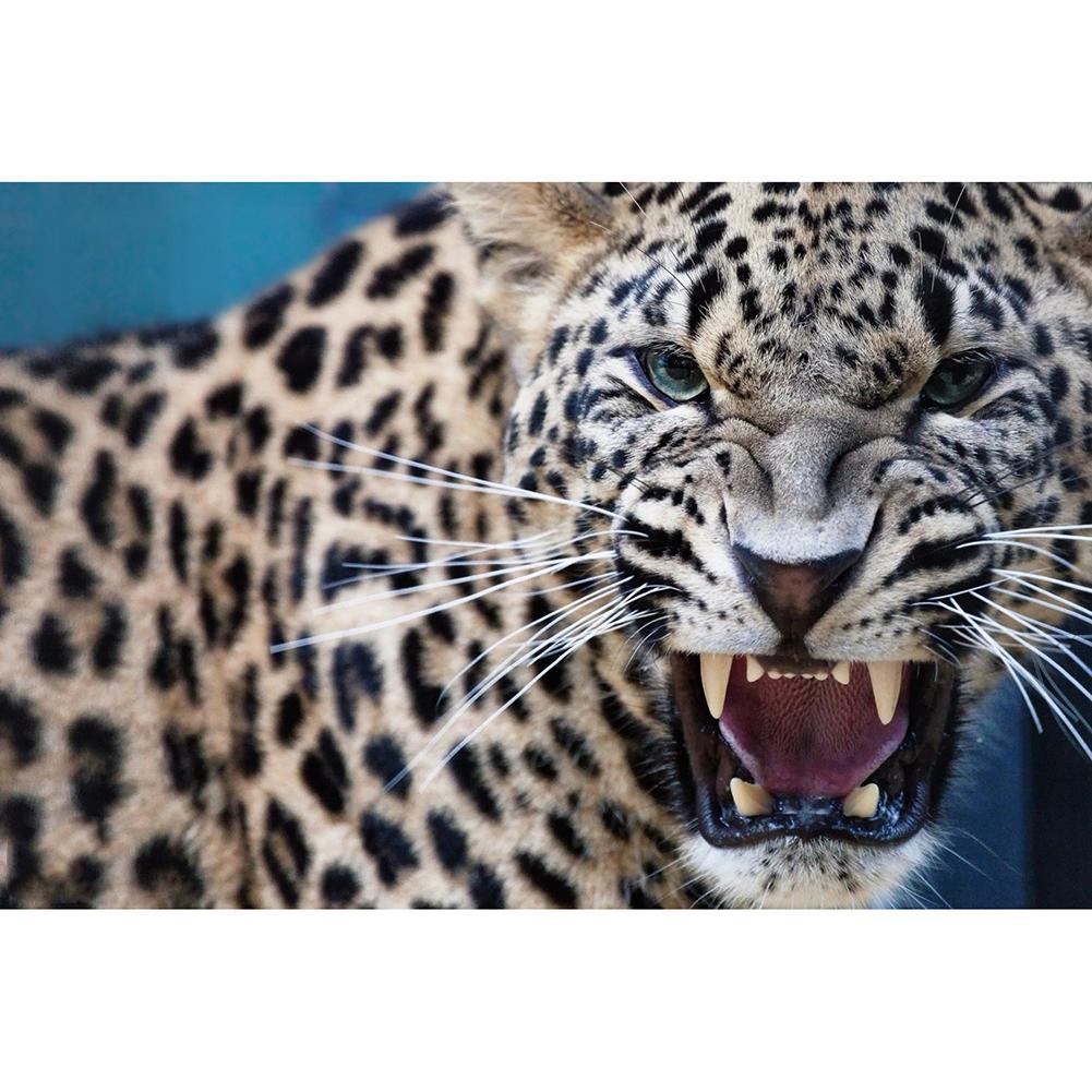 

40*30CM-Round Drill Diamond Painting-Leopard, 501 Original