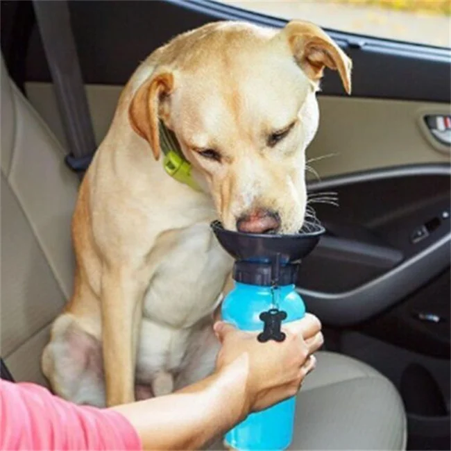 Portable Water Bottle for Dogs