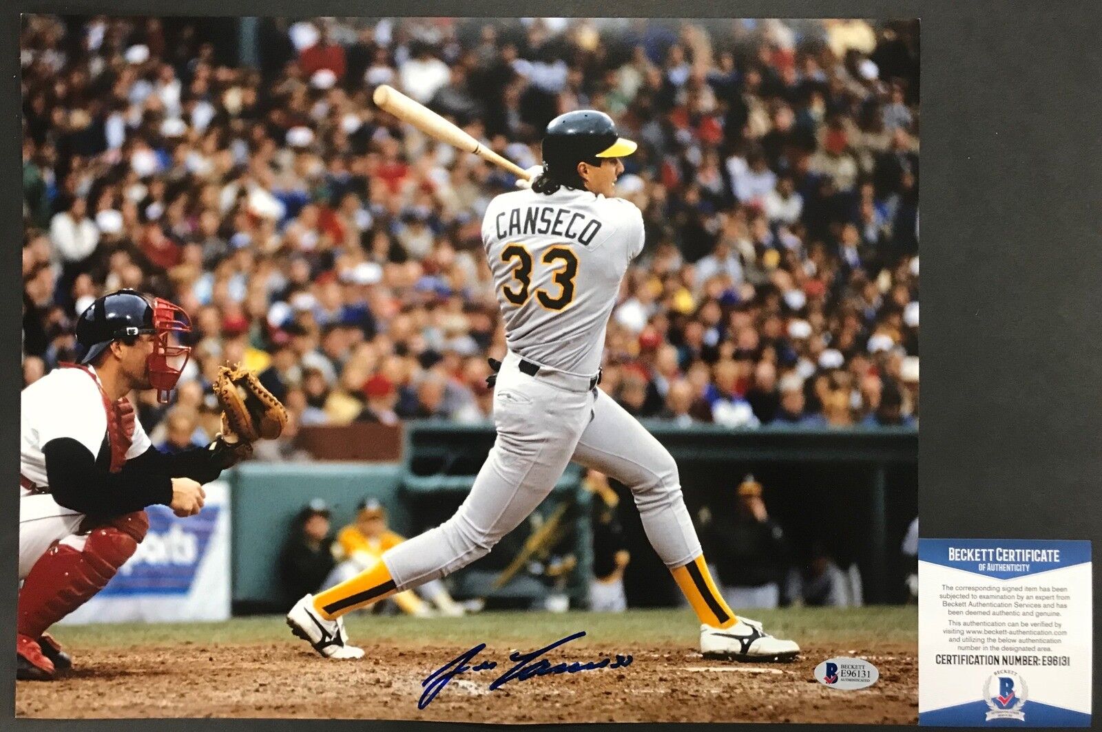 BASH BROTHERS!!! Jose Canseco Signed OAKLAND A'S 11x14 Photo Poster painting #2 Beckett BAS