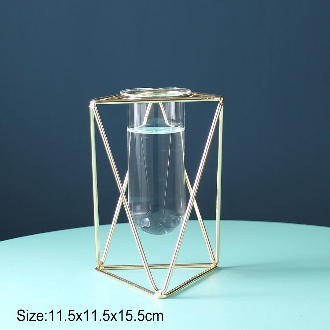Nordic Iron Line Vase Hydroponic Plant For Flower Holder Golden Flower Pot Geometric Creative Glass Vases Home Room Decoration