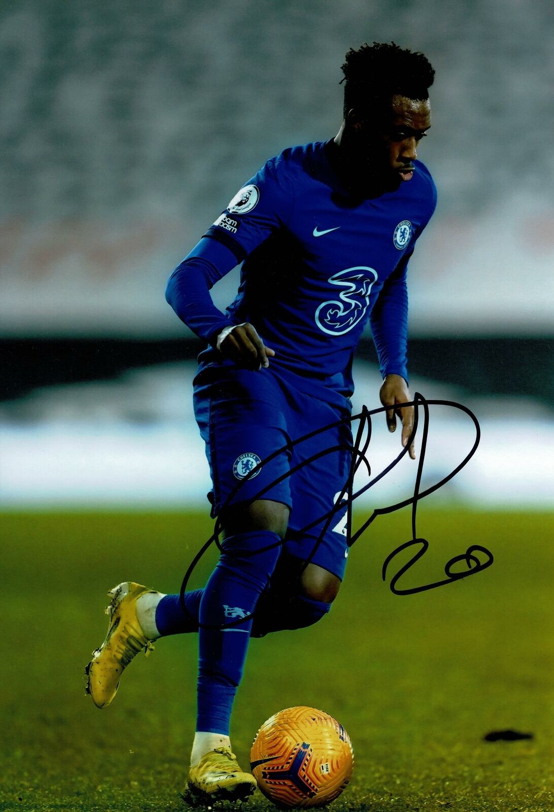 Callum Hudson-Odoi Signed 12X8 Photo Poster painting Chelsea F.C. AFTAL COA (1496)