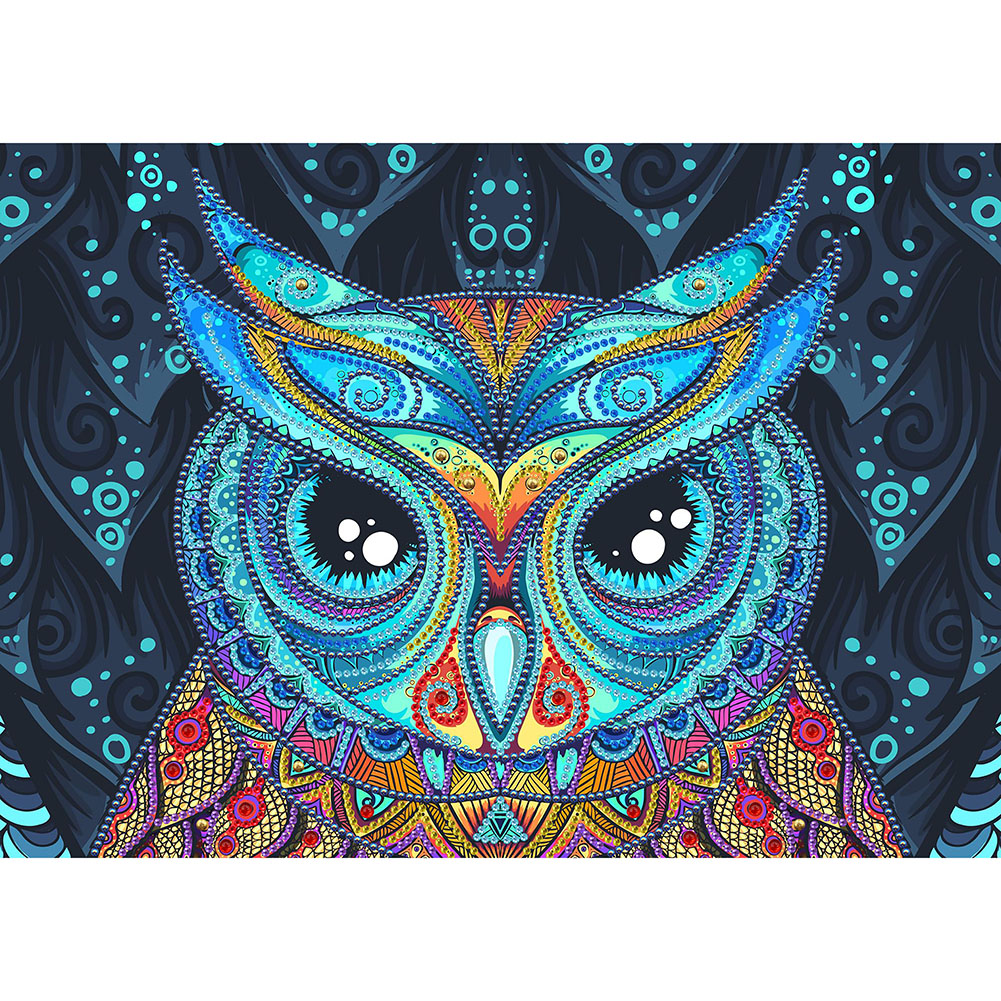 

Owl - Special Shaped Diamond Painting - 40*30CM, 501 Original