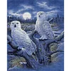 Owl - 14CT Counted Cross Stitch - 40*50cm